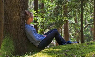 Forest Bathing and Forest Therapy