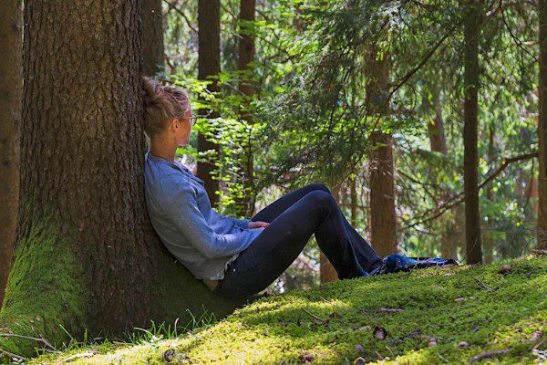 Forest Bathing and Forest Therapy
