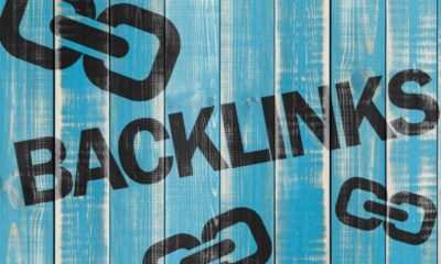 referring domains vs backlinks